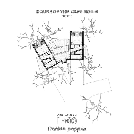 House of the Cape Robin